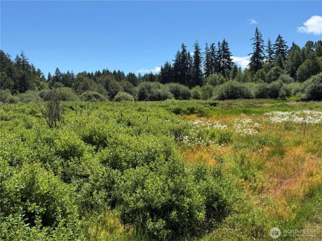 Property photo for 317 184th Avenue Ct Sw, Lakebay photo 5