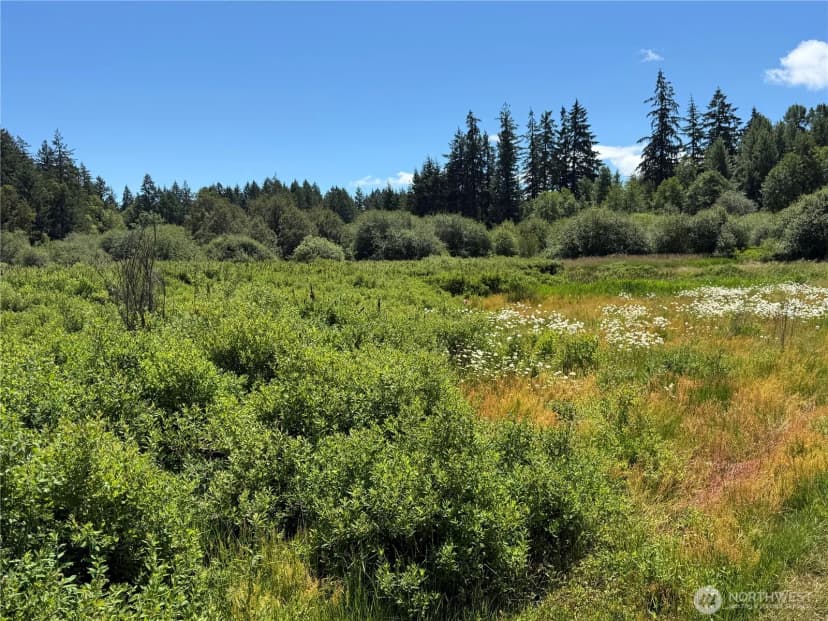 Property photo for 317 184th Avenue Ct Sw, Lakebay photo 5