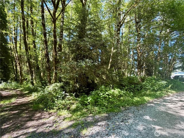 Property photo for 292 Sportmans Club Road, Forks photo 3
