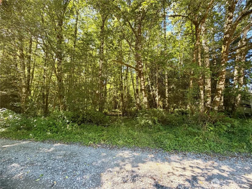Property photo for 292 Sportmans Club Road, Forks photo 6