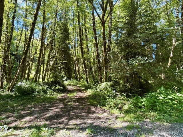 Property photo for 292 Sportmans Club Road, Forks photo 4