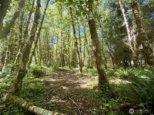 Property photo for 292 Sportmans Club Road, Forks