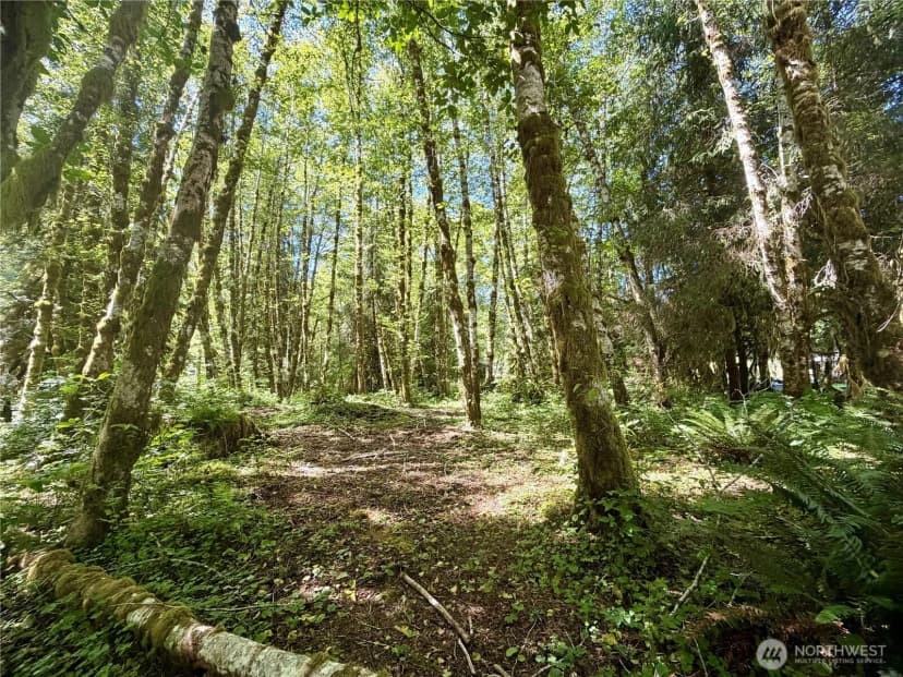 Property photo for 292 Sportmans Club Road, Forks