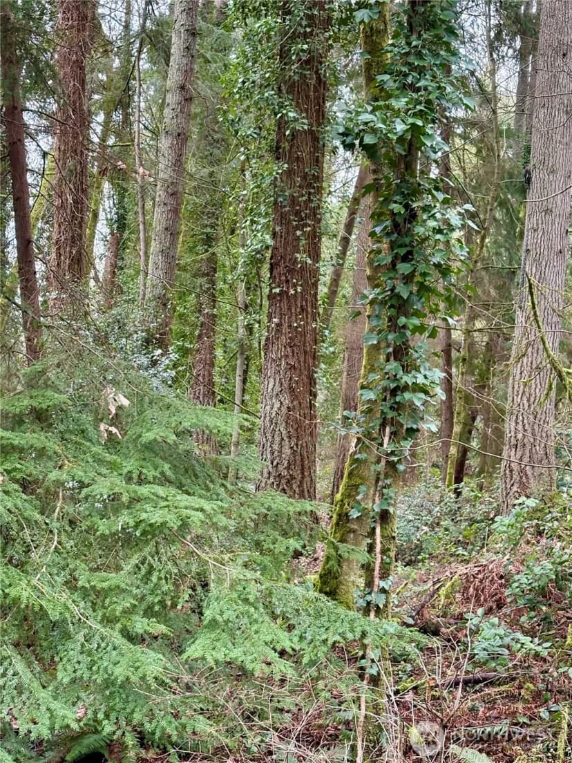 Property photo for 0 Sw 230th Street, Vashon photo 2