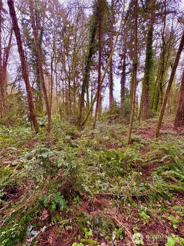 Property photo for 0 Sw 230th Street, Vashon