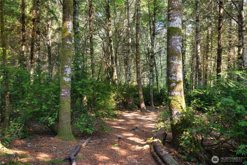 Property photo for 351 E Island Shores Road, Shelton photo 34