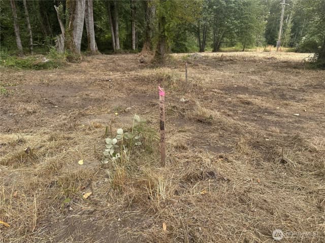 Property photo for 154 Xx Se Jones Road, Renton photo 3
