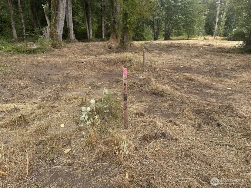 Property photo for 154 Xx Se Jones Road, Renton photo 3