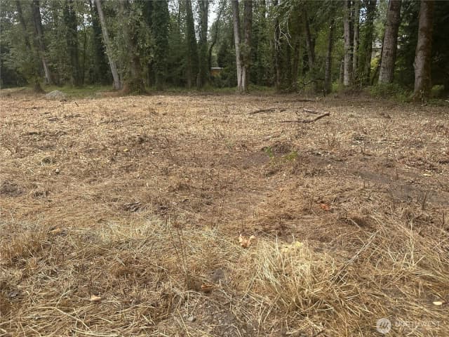 Property photo for 154 Xx Se Jones Road, Renton photo 2