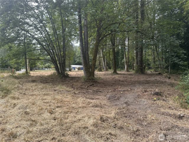 Property photo for 154 Xx Se Jones Road, Renton photo 5