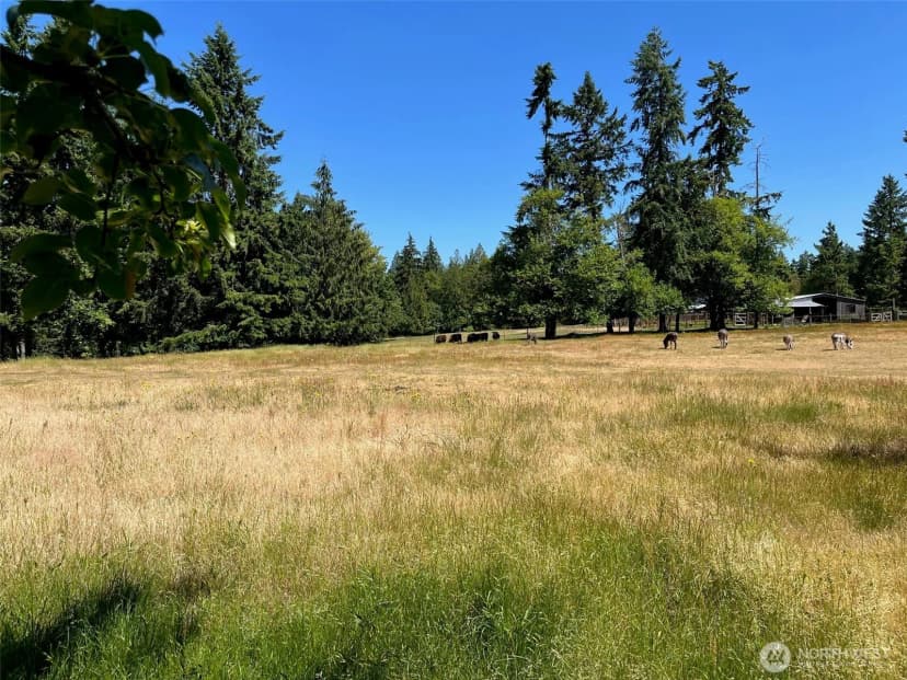 Property photo for 6529 Key Peninsula Hwy Nw, Lakebay photo 20