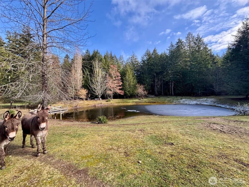Property photo for 6529 Key Peninsula Hwy Nw, Lakebay photo 28