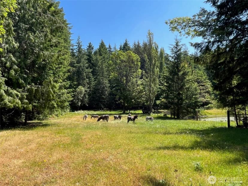 Property photo for 6529 Key Peninsula Hwy Nw, Lakebay photo 15