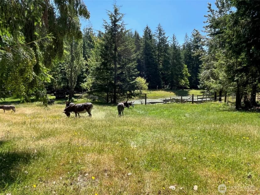 Property photo for 6529 Key Peninsula Hwy Nw, Lakebay photo 16