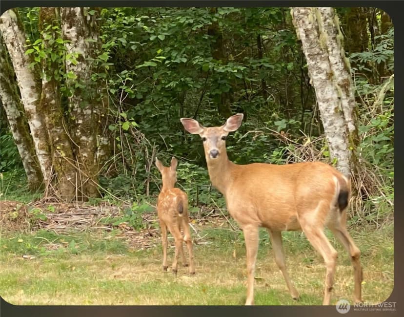 Property photo for 22410 Mcmurray Shore Drive, Mount Vernon photo 33