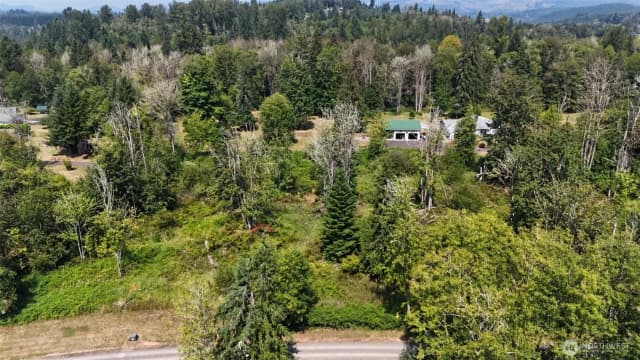 Property photo for 0 Xxx Harmony Lane, Mossyrock photo 5
