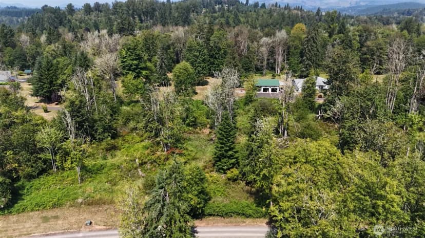 Property photo for 0 Xxx Harmony Lane, Mossyrock photo 5