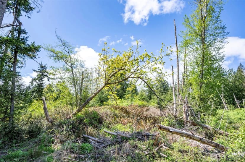 Property photo for 18307 Herron Road Nw, Lakebay photo 13