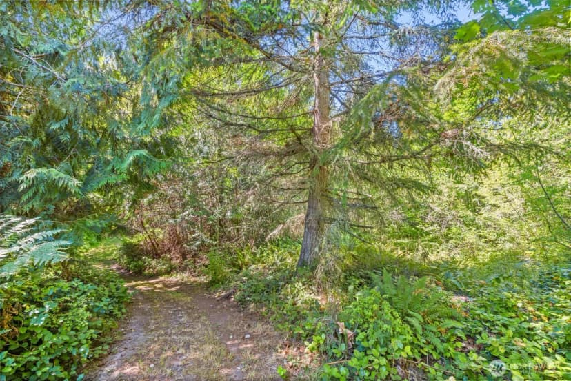 Property photo for 135 Saydee Lane, Port Angeles photo 29