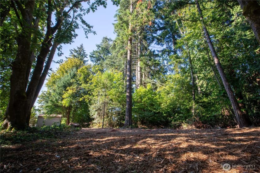 Property photo for 6411 Sierra Drive Se, Lacey photo 31