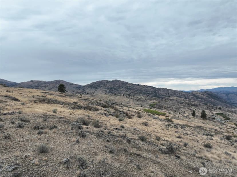 Property photo for 0 Mclaughlin Canyon Road, Tonasket photo 25