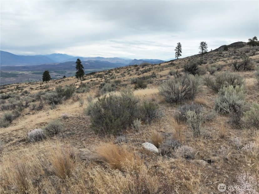 Property photo for 0 Mclaughlin Canyon Road, Tonasket photo 20
