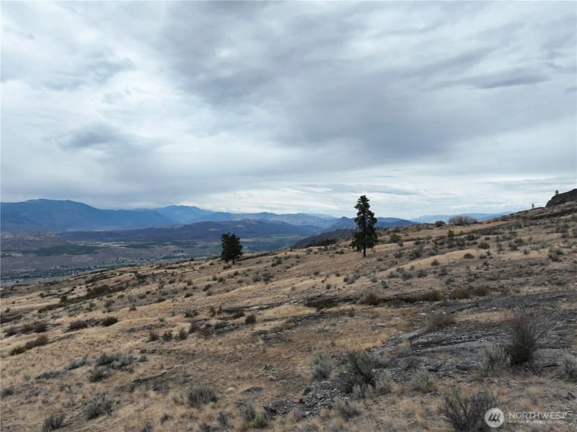 Property photo for 0 Mclaughlin Canyon Road, Tonasket photo 23