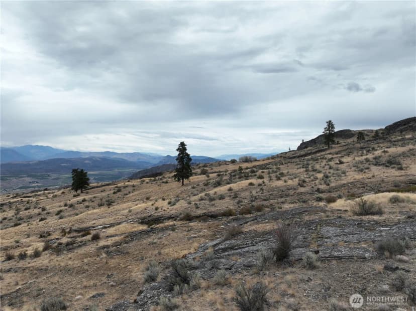 Property photo for 0 Mclaughlin Canyon Road, Tonasket photo 28