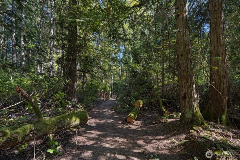 Property photo for 0 Egg Lake Road, Friday Harbor photo 6