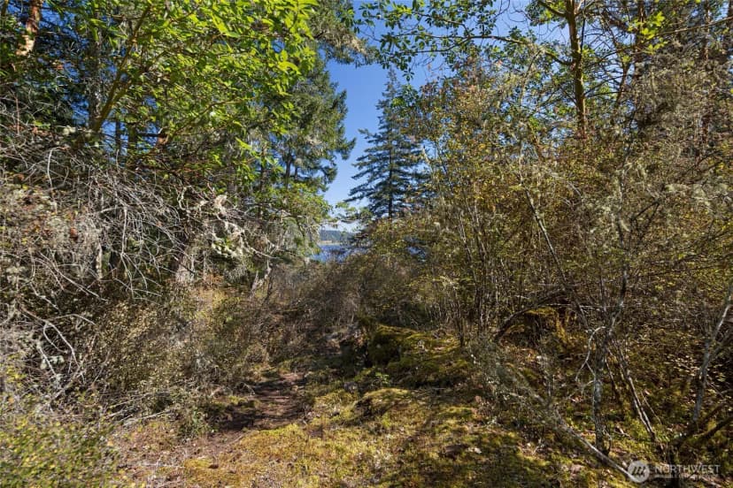 Property photo for 0 Egg Lake Road, Friday Harbor photo 13
