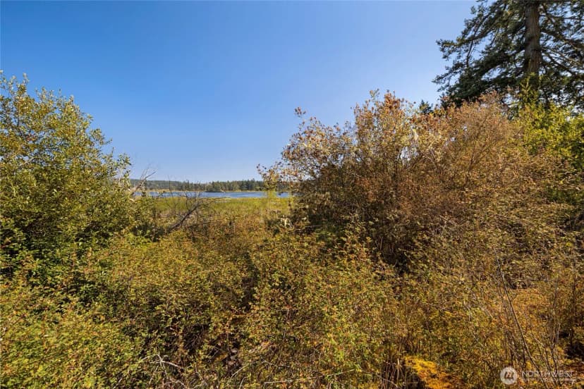 Property photo for 0 Egg Lake Road, Friday Harbor photo 12