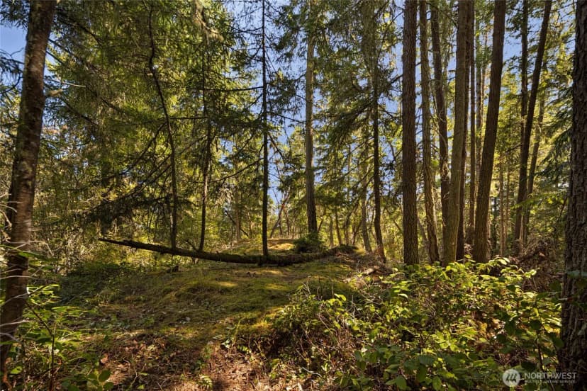 Property photo for 0 Egg Lake Road, Friday Harbor photo 7