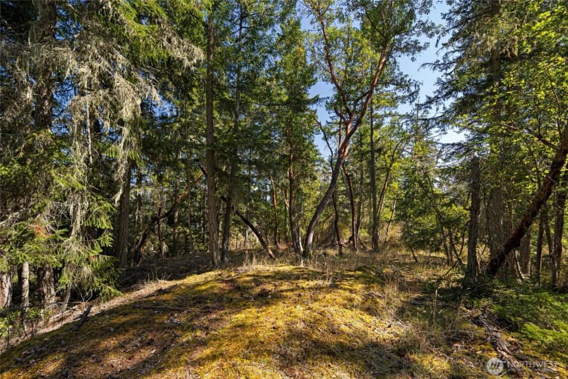 Property photo for 0 Egg Lake Road, Friday Harbor photo 11