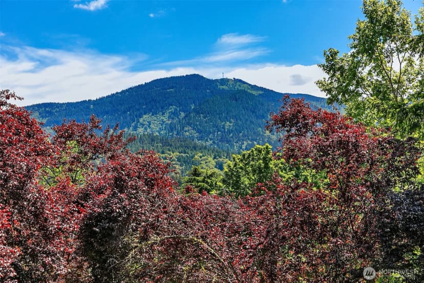 Property photo for 206 Mountain Park Boulevard Sw #d203, Issaquah photo 19