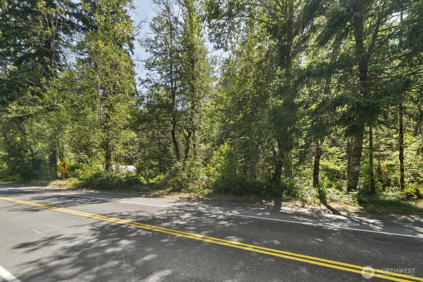 Property photo for 320 Skate Creek Road N, Eatonville photo 14