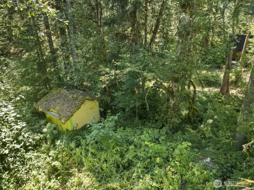 Property photo for 320 Skate Creek Road N, Eatonville photo 7