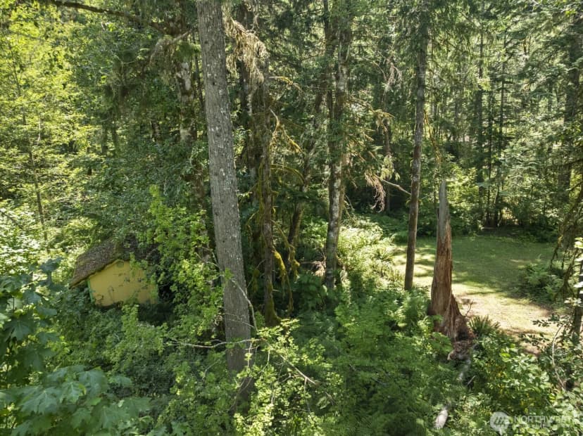 Property photo for 320 Skate Creek Road N, Eatonville photo 6