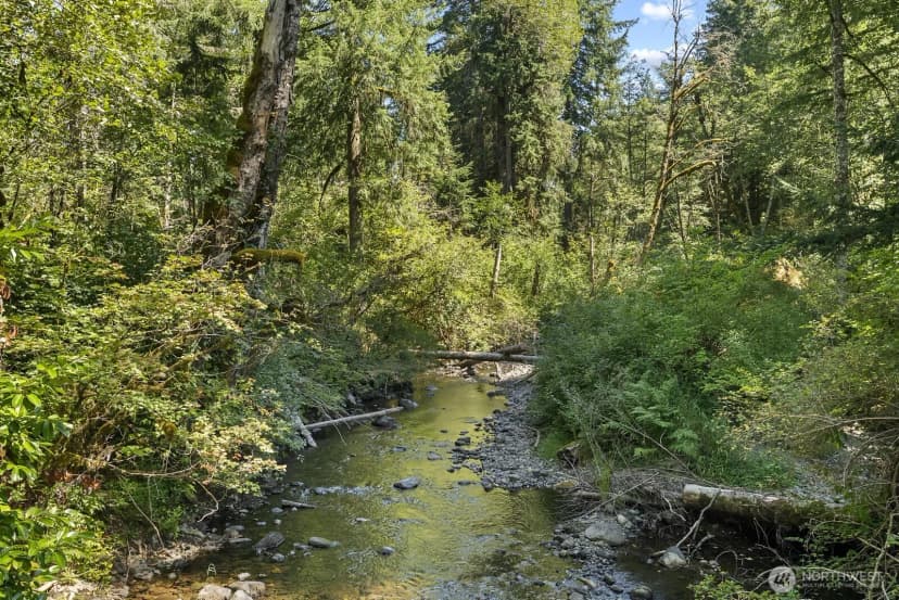 Property photo for 320 Skate Creek Road N, Eatonville photo 8