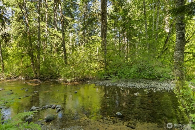 Property photo for 320 Skate Creek Road N, Eatonville photo 9