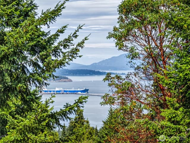Property photo for 11946 New Morning Drive, Anacortes photo 3