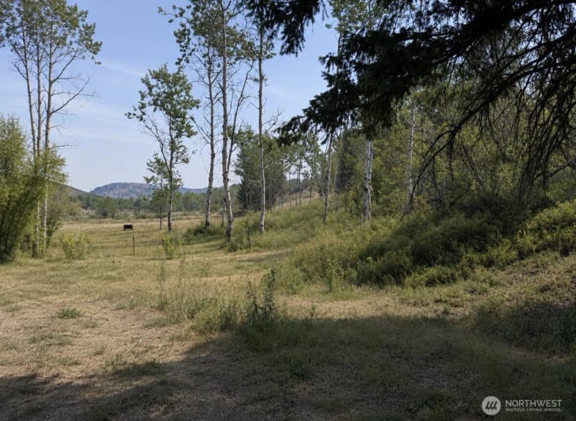 Property photo for 1066 A Ellemeham Mountain Road, Oroville photo 28