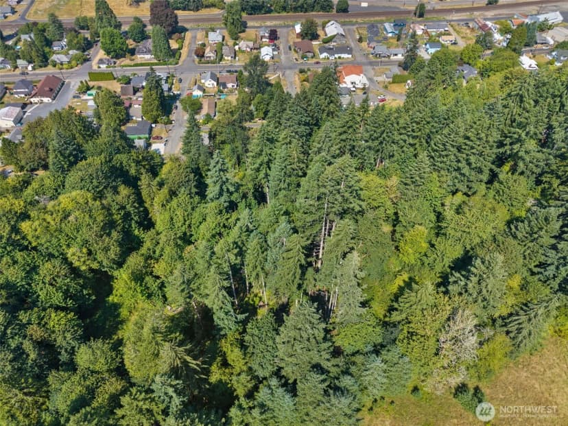 Property photo for 0 Se Ash Lot 2 Street, Winlock photo 13