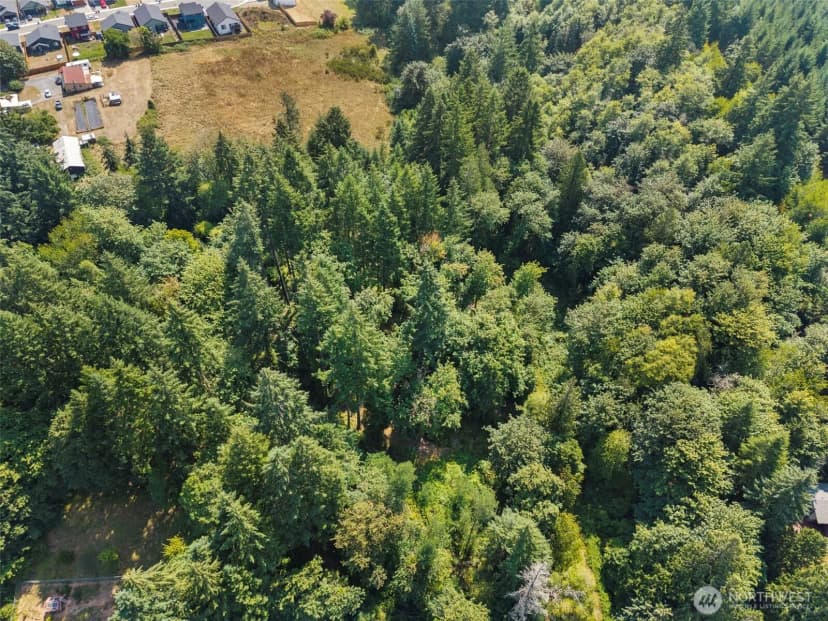 Property photo for 0 Se Ash Lot 2 Street, Winlock photo 8