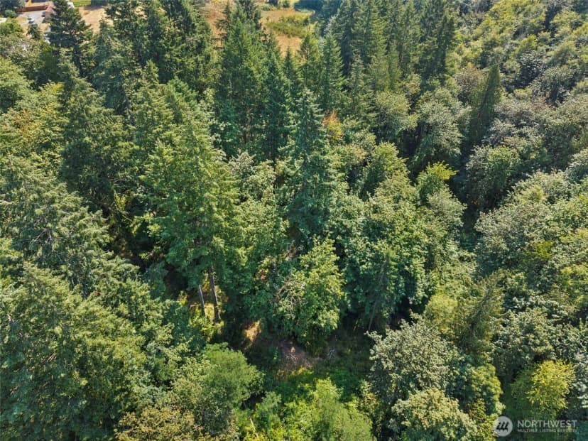 Property photo for 0 Se Ash Lot 2 Street, Winlock photo 7