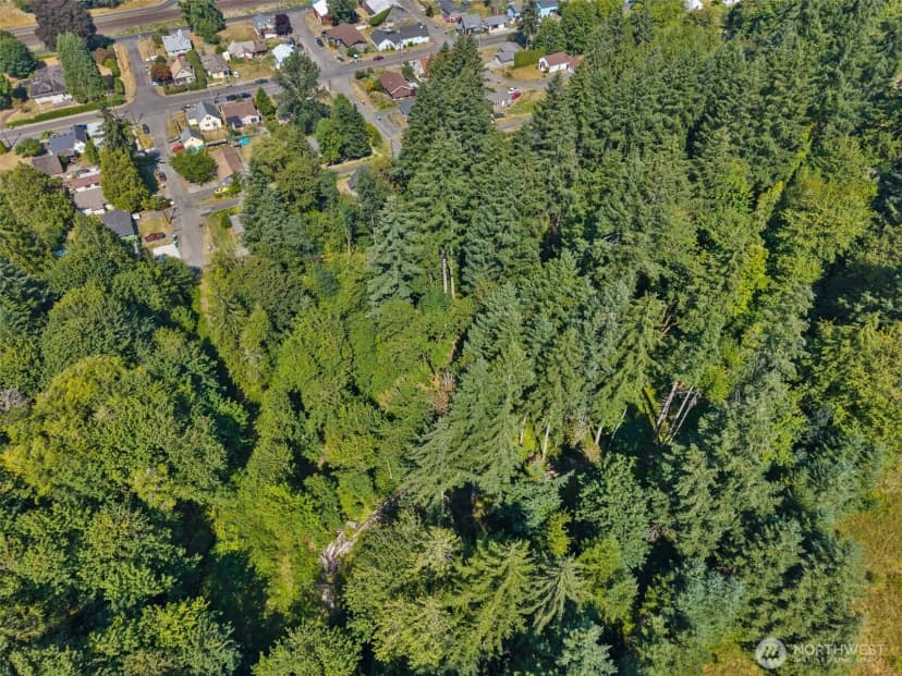 Property photo for 0 Se Ash Lot 2 Street, Winlock photo 15