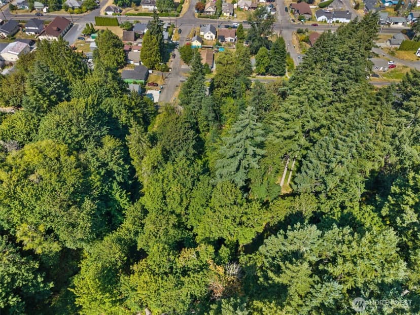 Property photo for 0 Se Ash Lot 2 Street, Winlock photo 12