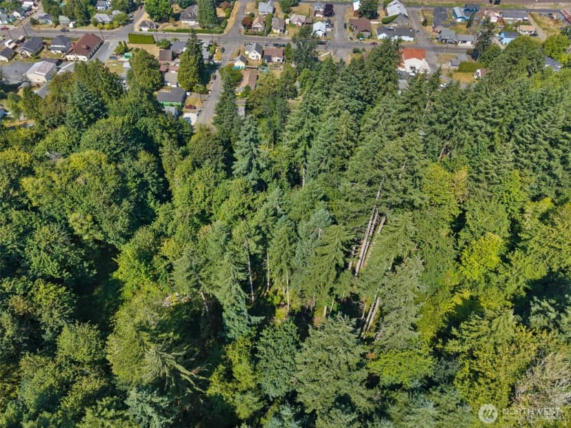 Property photo for 0 Se Ash Lot 2 Street, Winlock photo 14