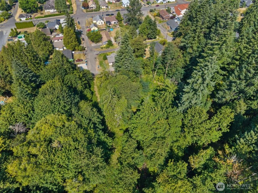 Property photo for 0 Se Ash Lot 1 Street, Winlock photo 22