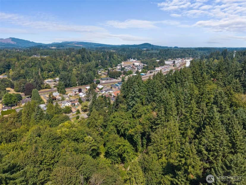 Property photo for 0 Se Ash Lot 1 Street, Winlock photo 21
