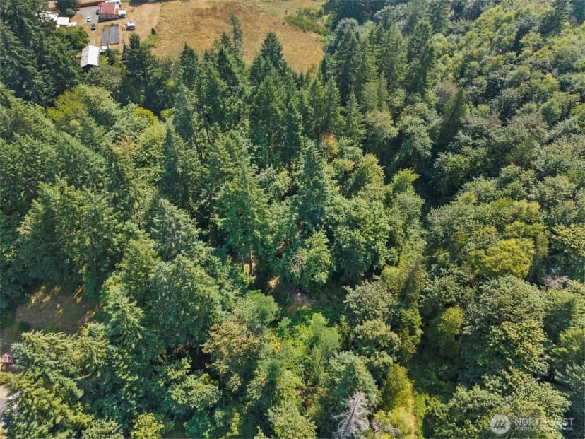 Property photo for 0 Se Ash Lot 1 Street, Winlock photo 6